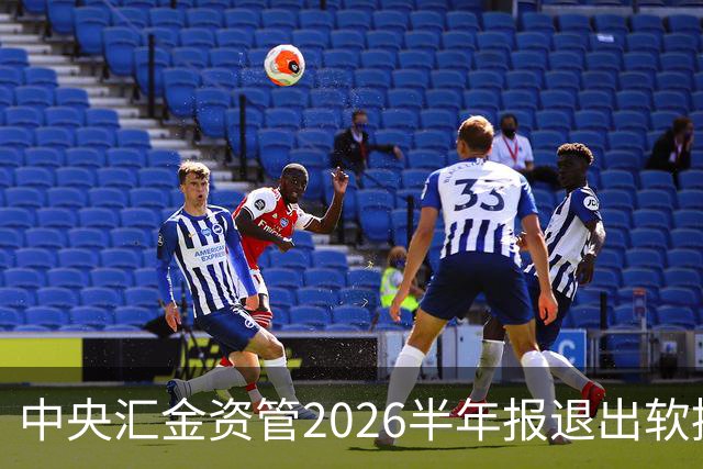 中央汇金资管2026半年报退出软控股份前十大股东名单