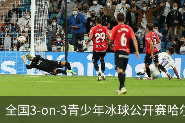 全国3-on-3青少年冰球公开赛哈尔滨赛区比赛收官-国际在线
