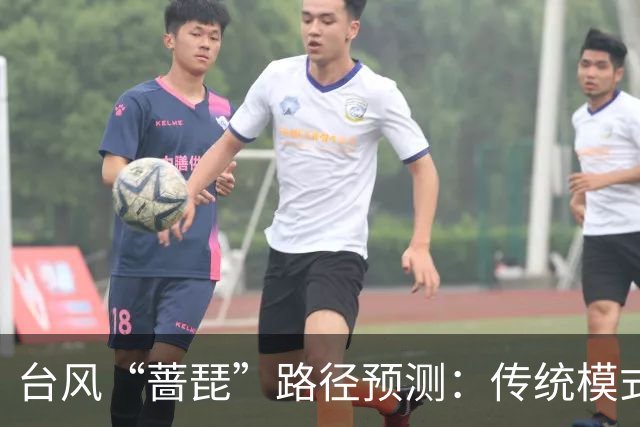 台风“蔷琵”路径预测：传统模式与AI模式分道扬镳——谁更接近真相？
