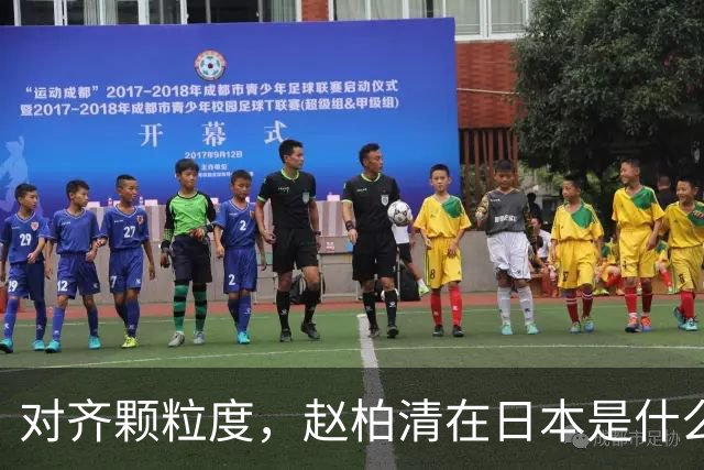 对齐颗粒度，赵柏清在日本是什么水平？