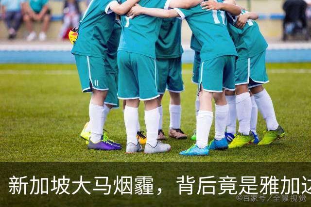新加坡大马烟霾，背后竟是雅加达纵容！