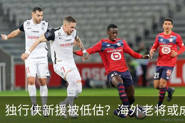 独行侠新援被低估？海外老将或成最大惊喜