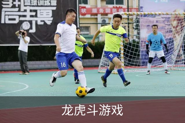 龙虎斗游戏公司介绍图
